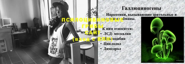 шишки Балабаново
