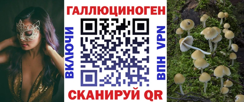 Псилоцибиновые грибы Cubensis  Сосногорск 